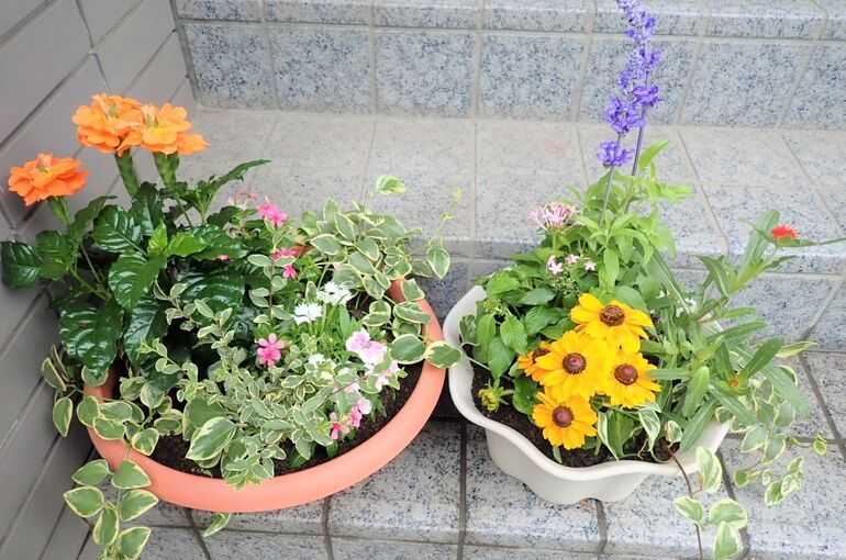 玄関花