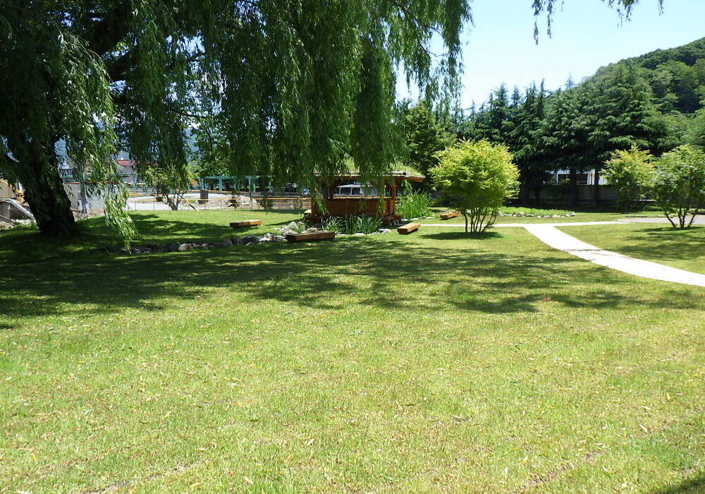 RIMG0317